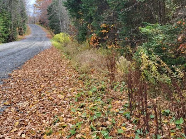 0 Haines Lake Rd, McDougall, ON P2A 0B3