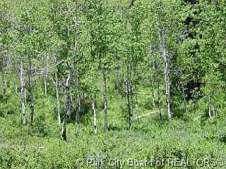1st image of S Porcupine Cir #D-179