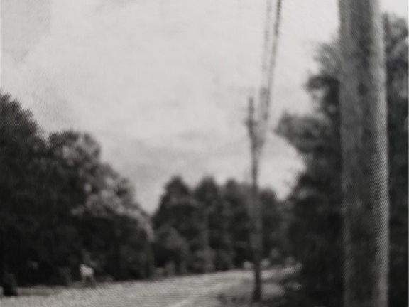 5th image of 3574 Ridge Rd