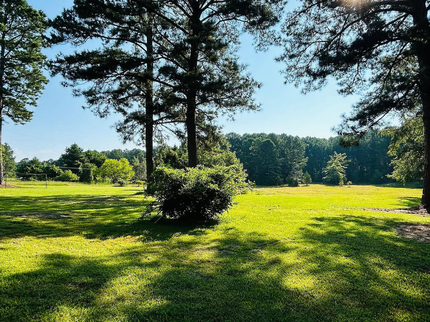 Beautiful 3 bedroom, 2 bathroom house on 2 acres of land in Pine Mountain! Must See! — Photo 4