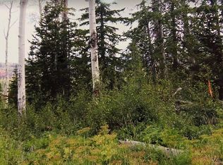 447 E Toboggan Ln, Brian Head, UT 84719