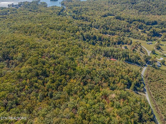 54th image of this home