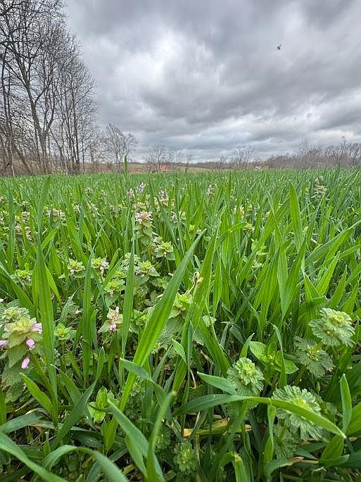 1st image of 0 Bakerton Rd