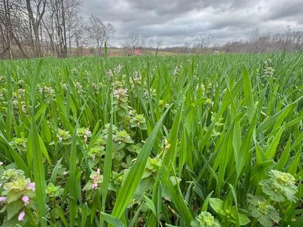 0 Bakerton Rd, Red Boiling Springs, TN 37150