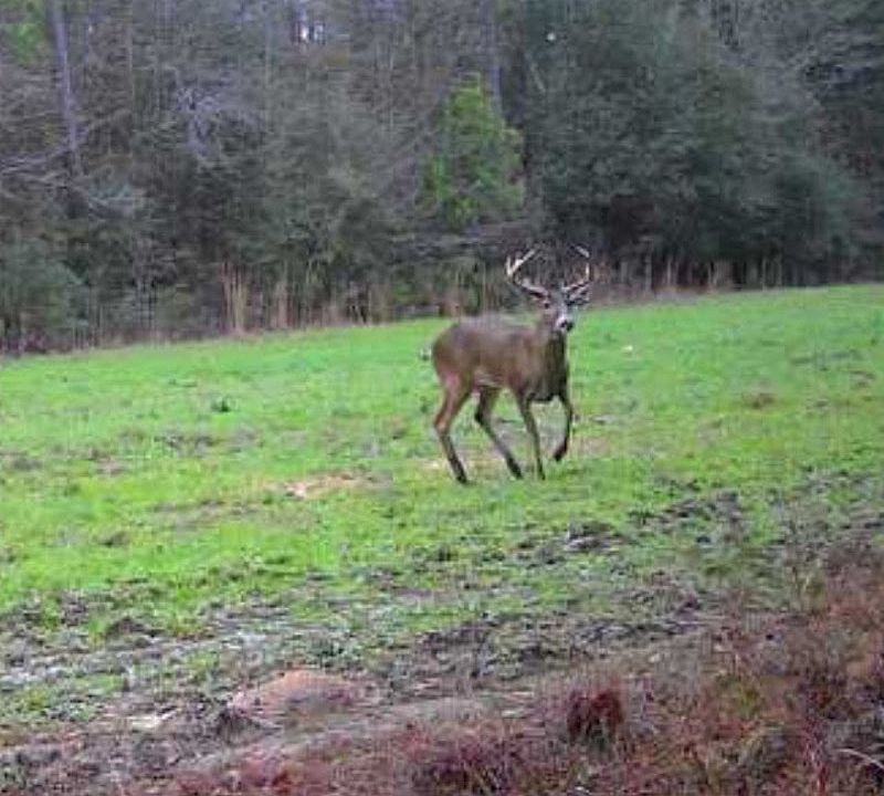 1st image of 1050 Cedar Creek Landing Rd