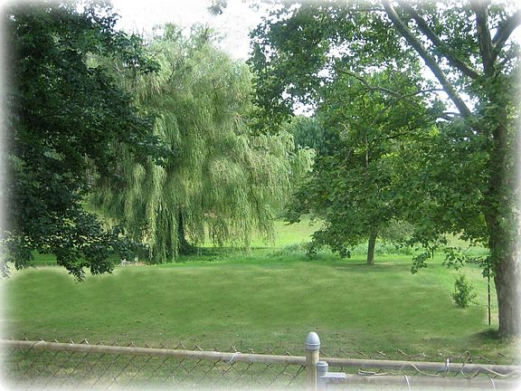 Huge Yard Beyond Fence