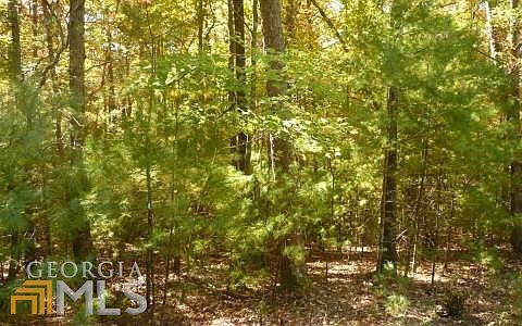2nd image of Wheeler Ridge Dr