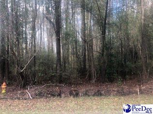 5217 Chinaberry Rd, Florence, SC 29506