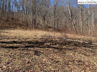 188 E Bernard Bledsoe Ln, Todd, NC 28684