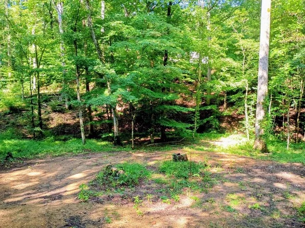 0 Short Oak Rd, Chatsworth, GA 30705