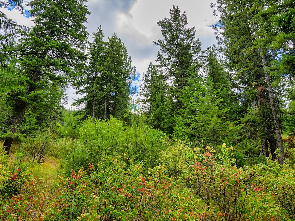 1st image of 1 Bighorn Bluff Rd