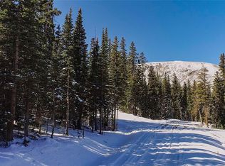 543 Camron Ln #9, Breckenridge, CO 80424