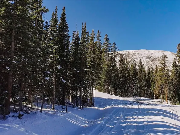 543 Camron Lane LOT 9, Breckenridge, CO 80424