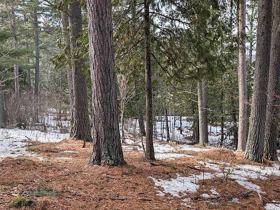 4th image of 1317 N Pioneer Rd