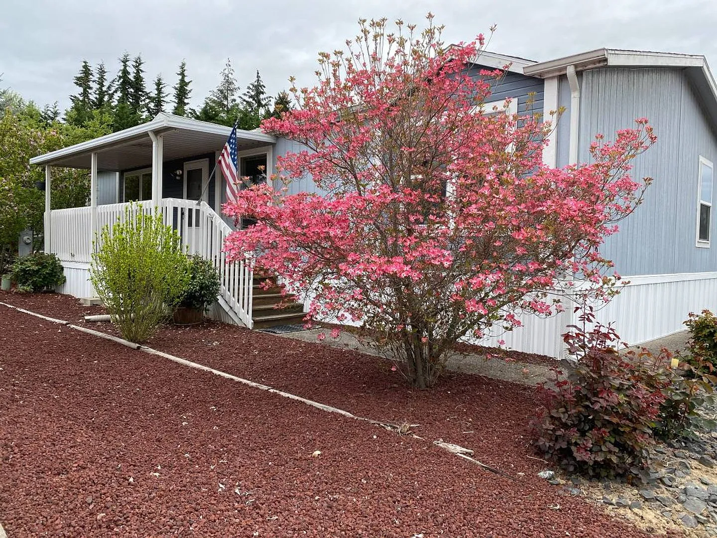4 Bedroom in a 55+ Community in Winston! — Photo 2