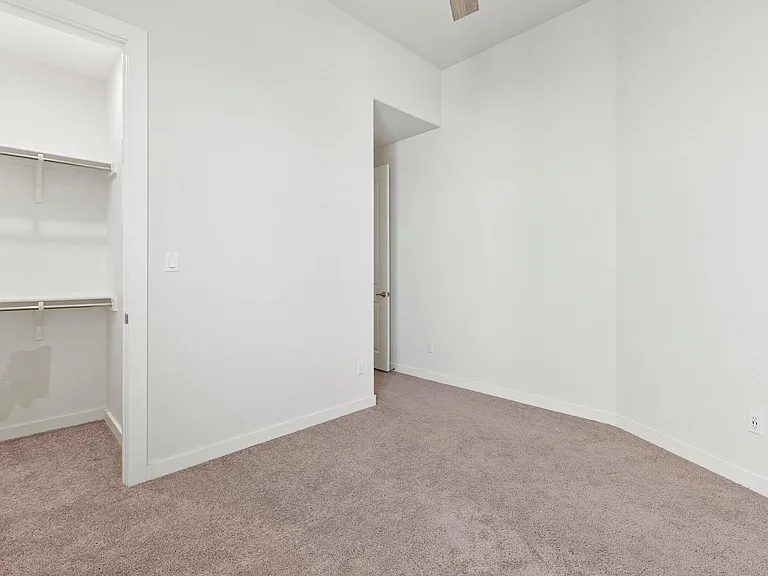 1204 Texas Ash Ln — Photo 28
