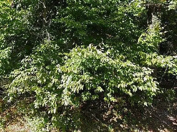 65 Fox Hedge Rd, Saddle River, NJ 07458