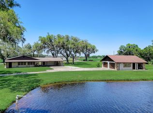 13145 Tom Gallagher Rd, Dover, FL 33527