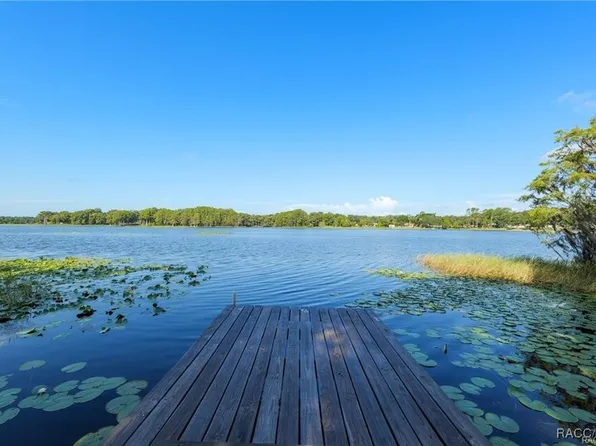 5870 N Briarcliff Ter, Hernando, FL 34442