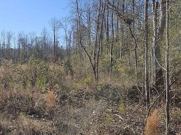 4th image of LOT Two County Rd #36