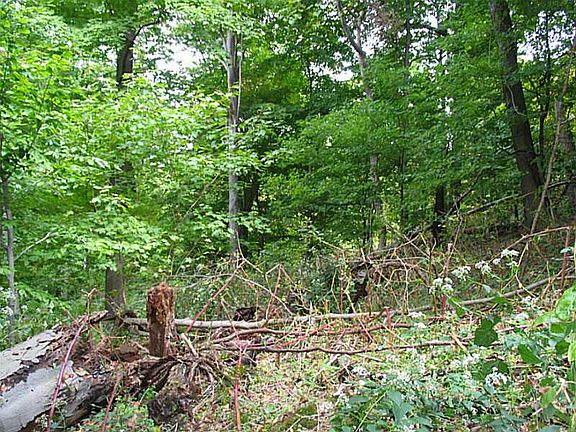 2nd image of Linnwood