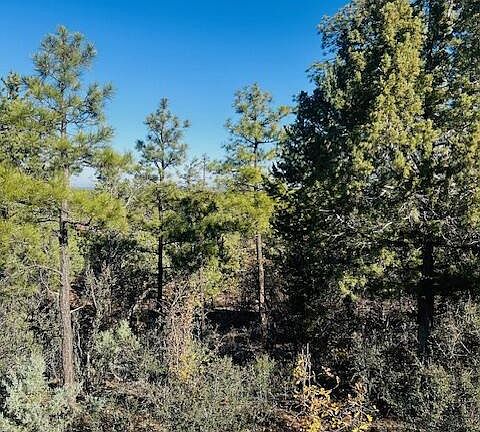 5th image of 1610 W Snow Creek Trl
