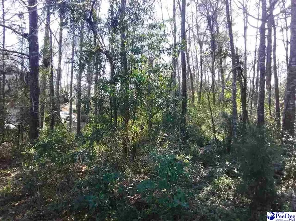 19 Ora Ln, Chesterfield, SC 29709