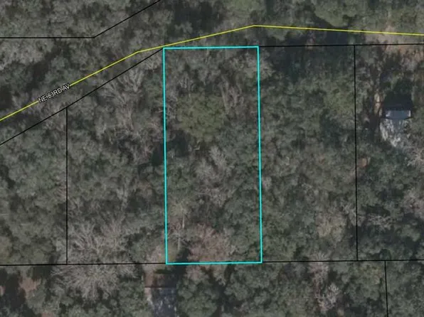 NE 83rd Ave, Old Town, FL 32680