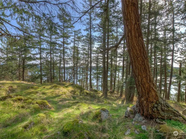 1570 Spring Point Road, Orcas Island, WA 98245