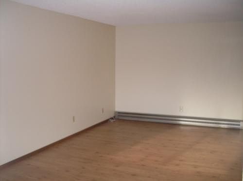 Newer Laminate Floors