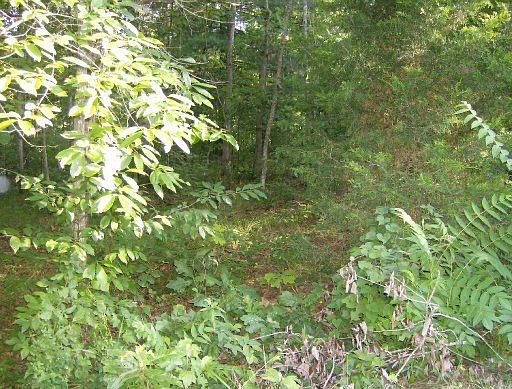 3rd image of 2062 Iowa Dr