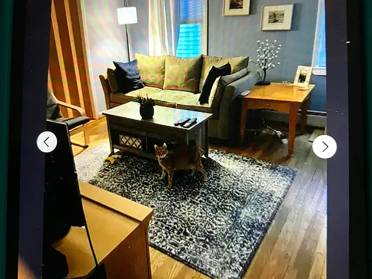9 Watson St #2 — Photo 7
