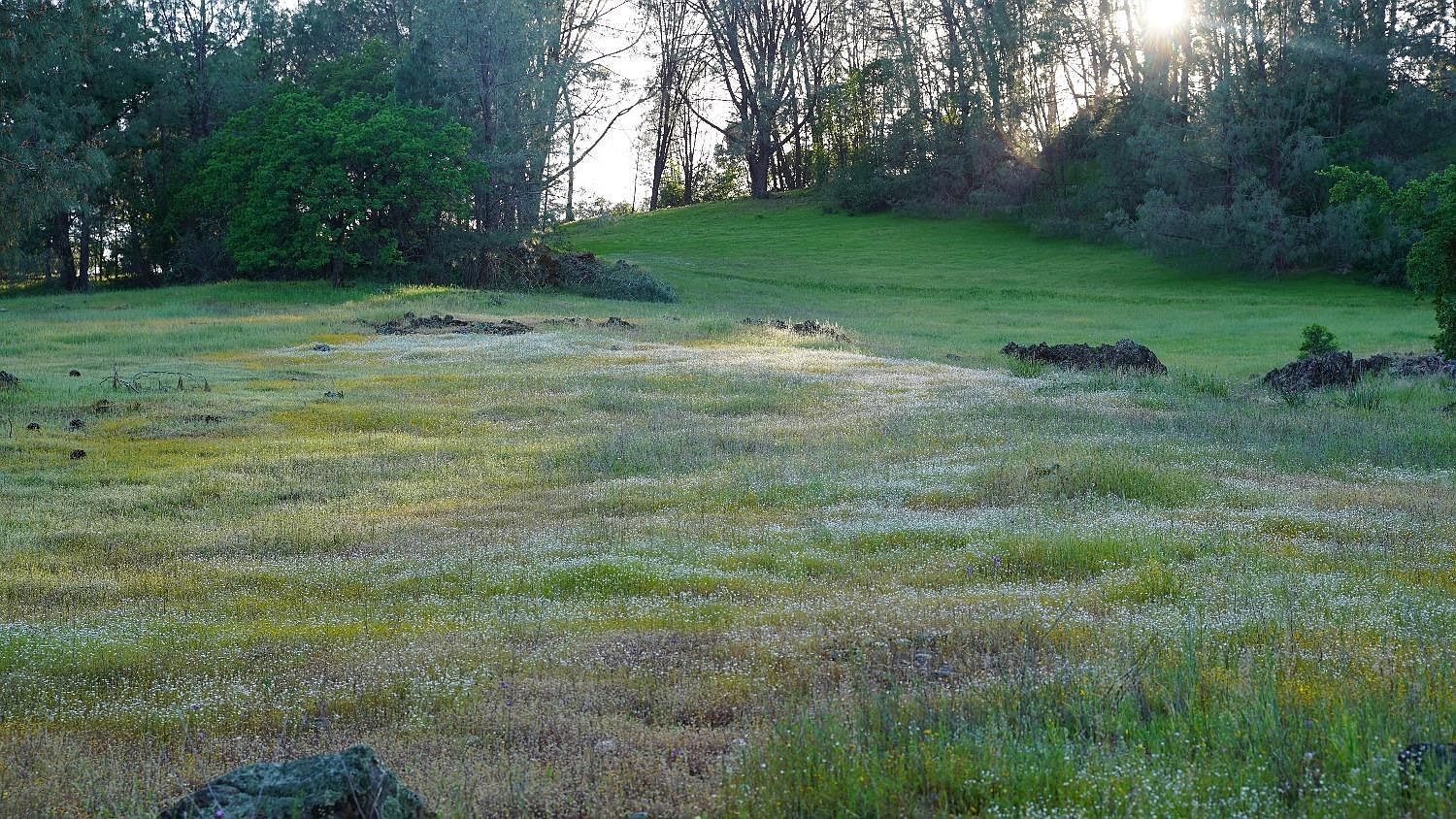 3880 Cherry Acres Rd, Cool, CA 95614 MLS 223038734 Zillow