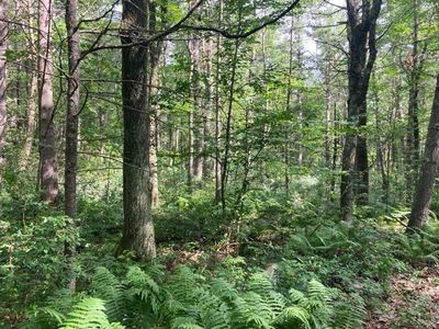 0 North St, Jefferson, MA, 01522