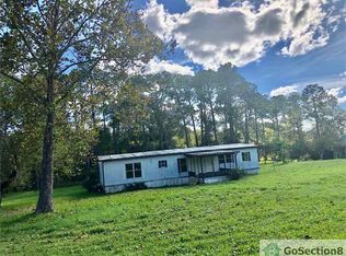 29917 Briarthorn Loop, Wesley Chapel, FL 33545