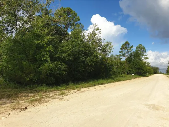 NE 63rd Pl Lot 4, Williston, FL 32696