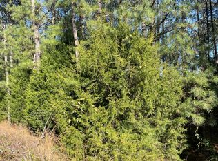 35 Mobley Rd, Hamilton, GA 31811