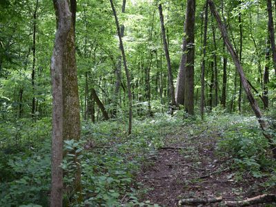 0 Brook Hollow Ct, Bon Aqua, TN, 37025