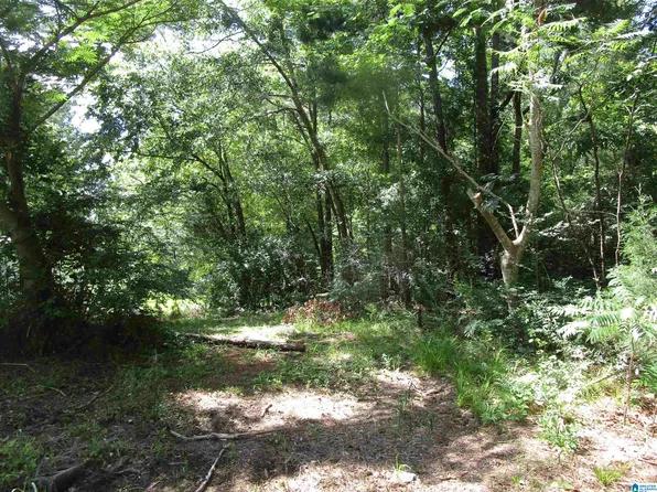 Odena Rd S #37, Sylacauga, AL 35150