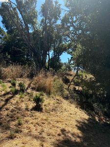 135 Spring Rd, Orinda, CA, 94563