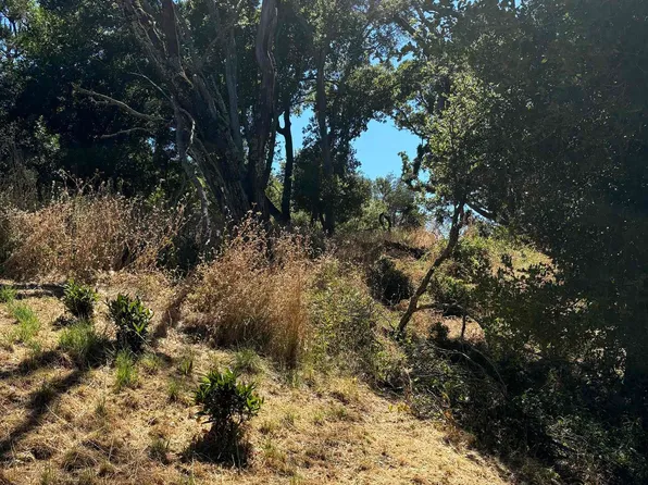 135 Spring Rd, Orinda, CA 94563