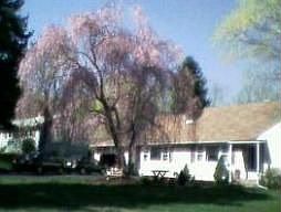 1st image of 22 Union Rd