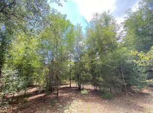 Tbd Ne 60th St, Williston, FL 32696