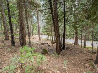 3041 Tahos Dr #288/2, Arnold, CA 95223