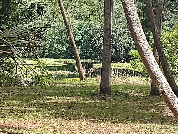 2nd image of 56508 BLUE CREEK ROAD
