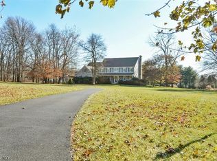 6 Lenape Springs Rd, Pittstown, NJ 08867