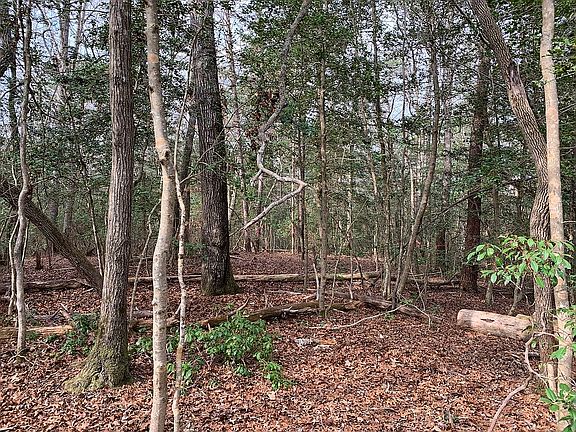 2nd image of LOT 10 Galomy Ln