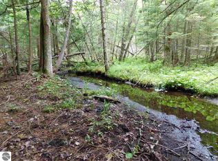 10322 M 66, Fife Lake, MI 49633