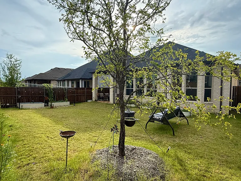 2433 Plumeria Ln — Photo 28
