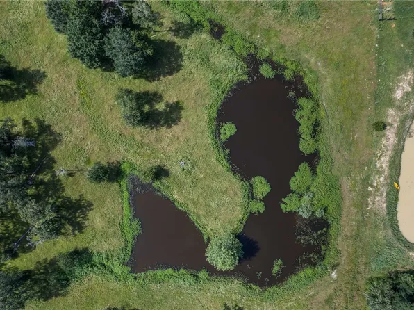 County Road 473, Somerville, TX 77879